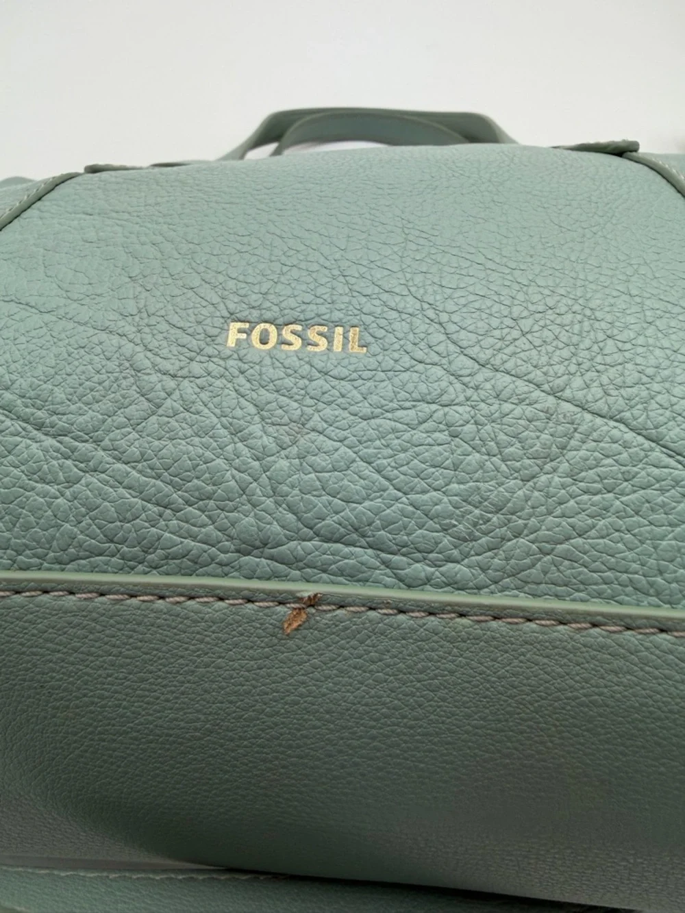 Fossil Skylar Satchel